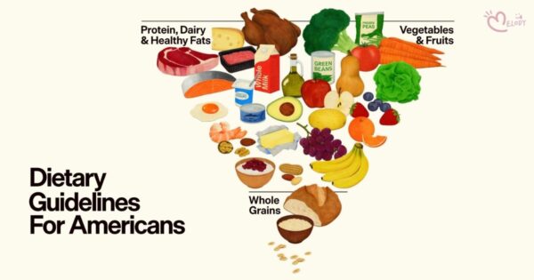 2025–2030 美國膳食指南重點整理（附原文）+營養師的觀察